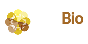 antibioceller