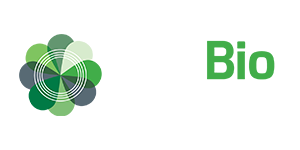 antibiotermite01